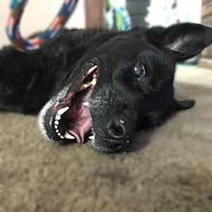 Meet your Posher, Jenna